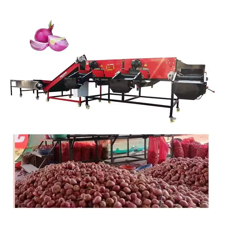 Industrial Garlic Size Sorting Machine/Garlic Onion Grading Sorting Machine/Garlic Sorting Grading Machine