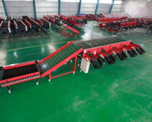 เครื่องคัดเเยกกระเทียมปานกลาง